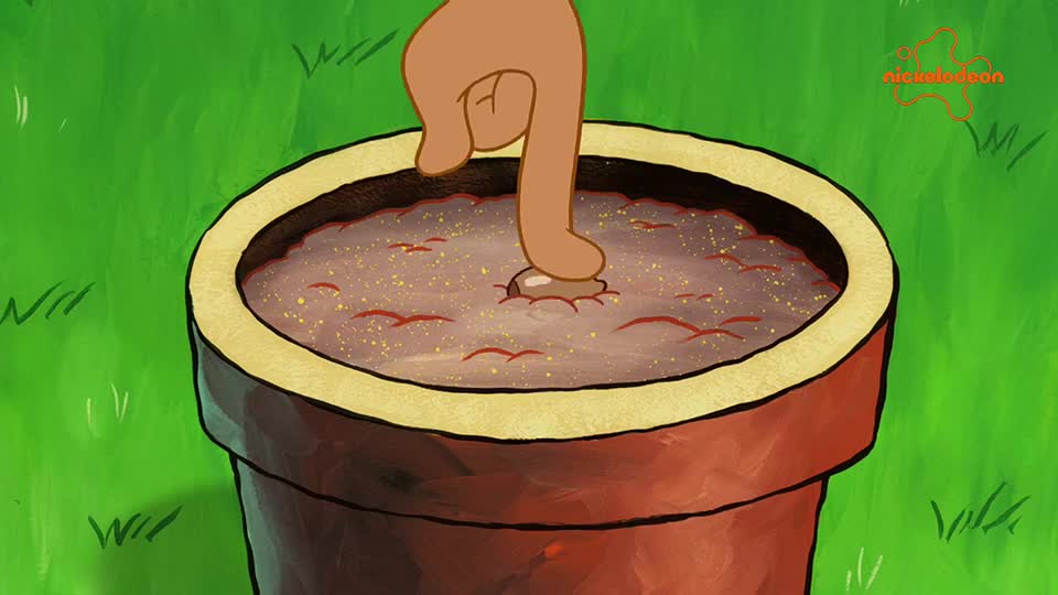 Nickelodeon