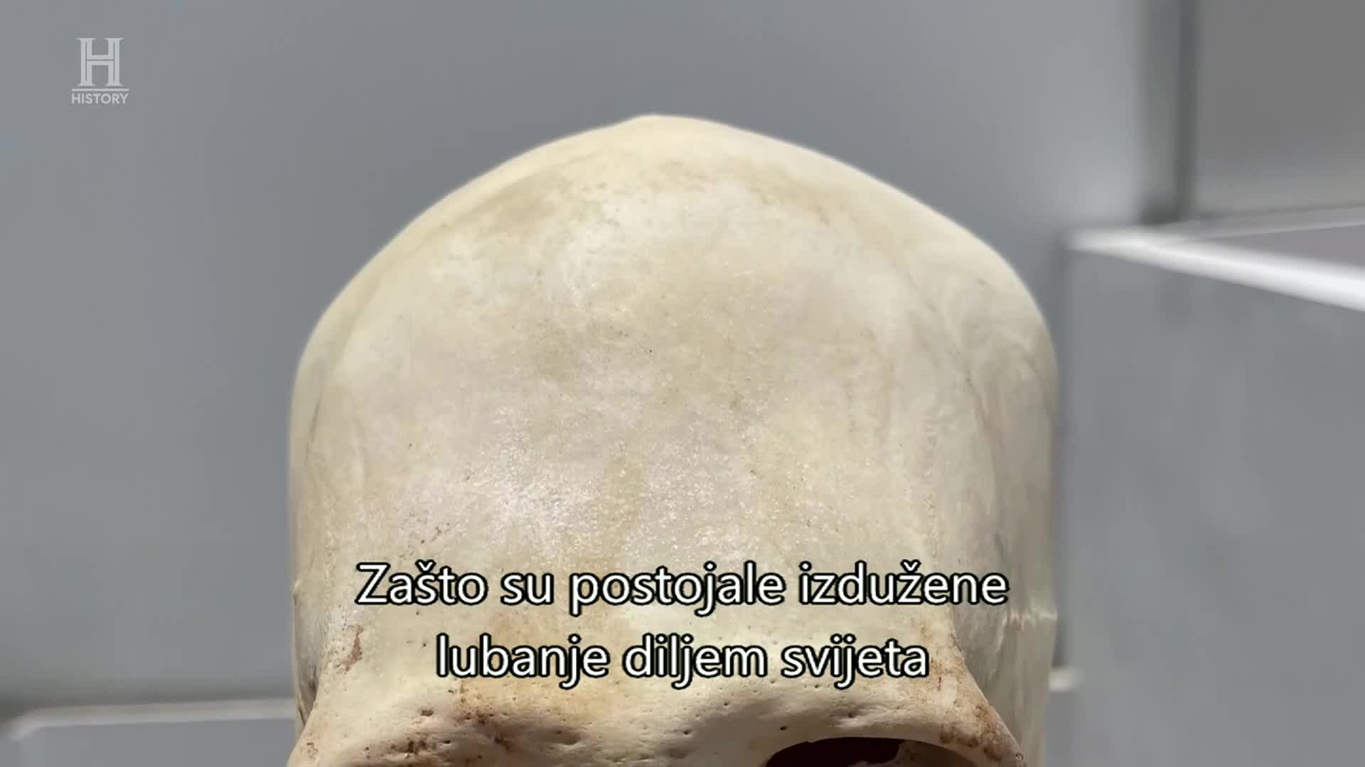 History
