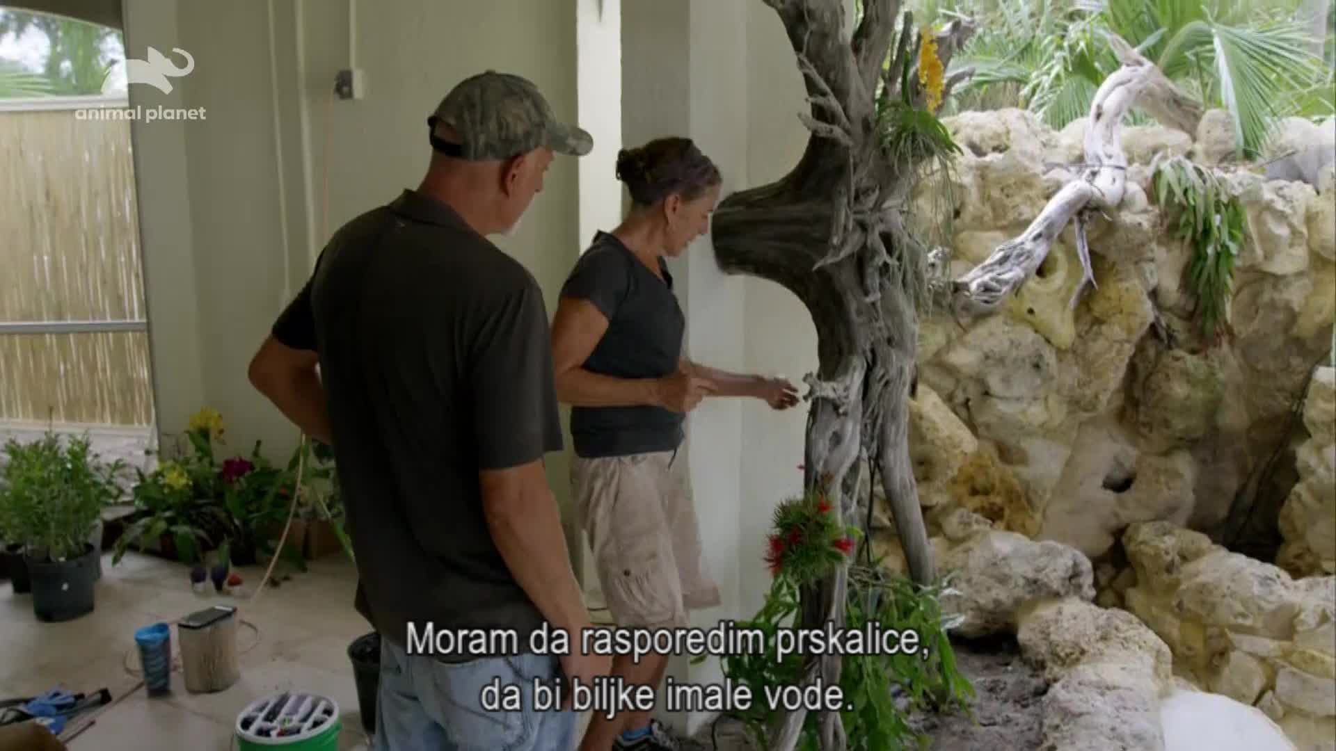 AnimalPlanet