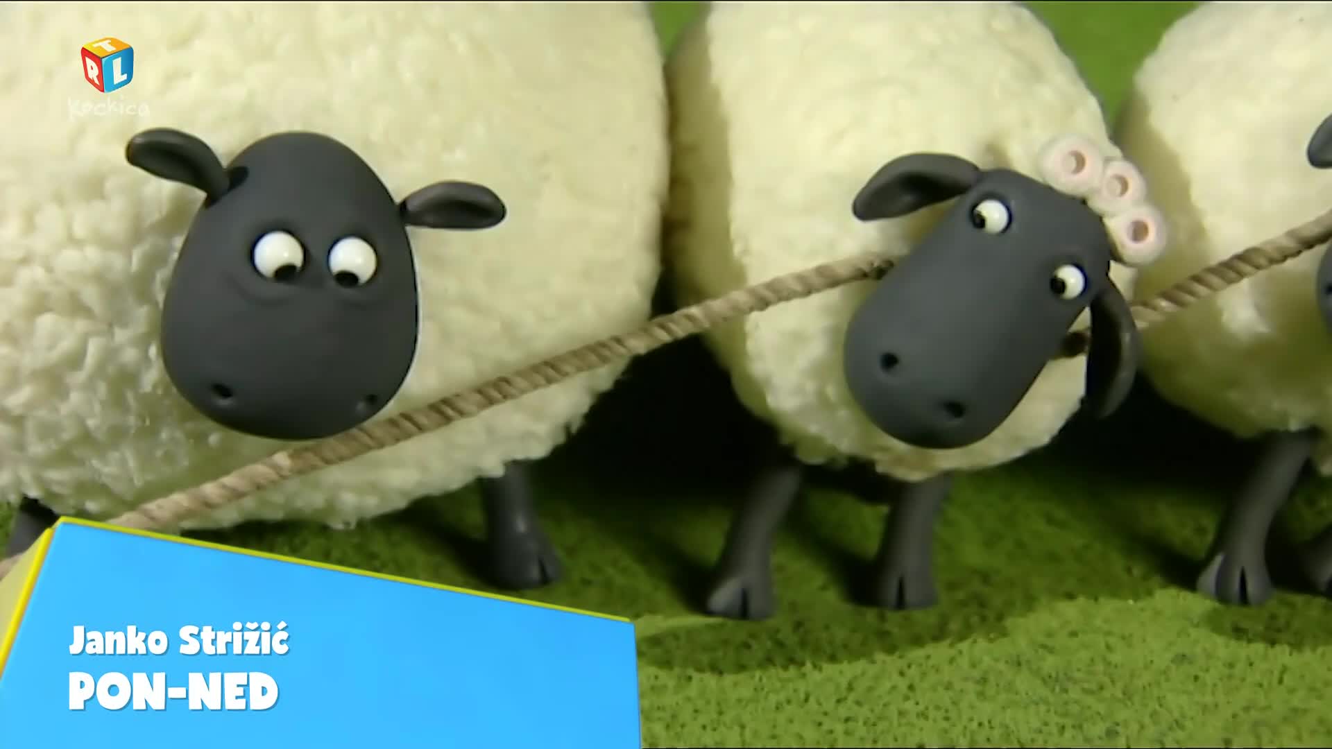 RTLKockica