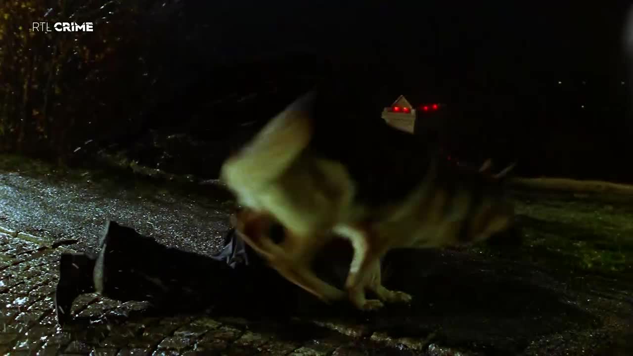 RTLcrime