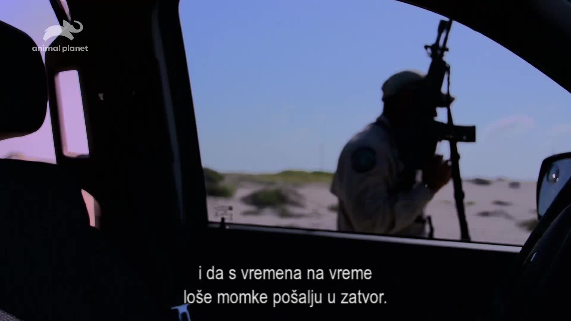 AnimalPlanet