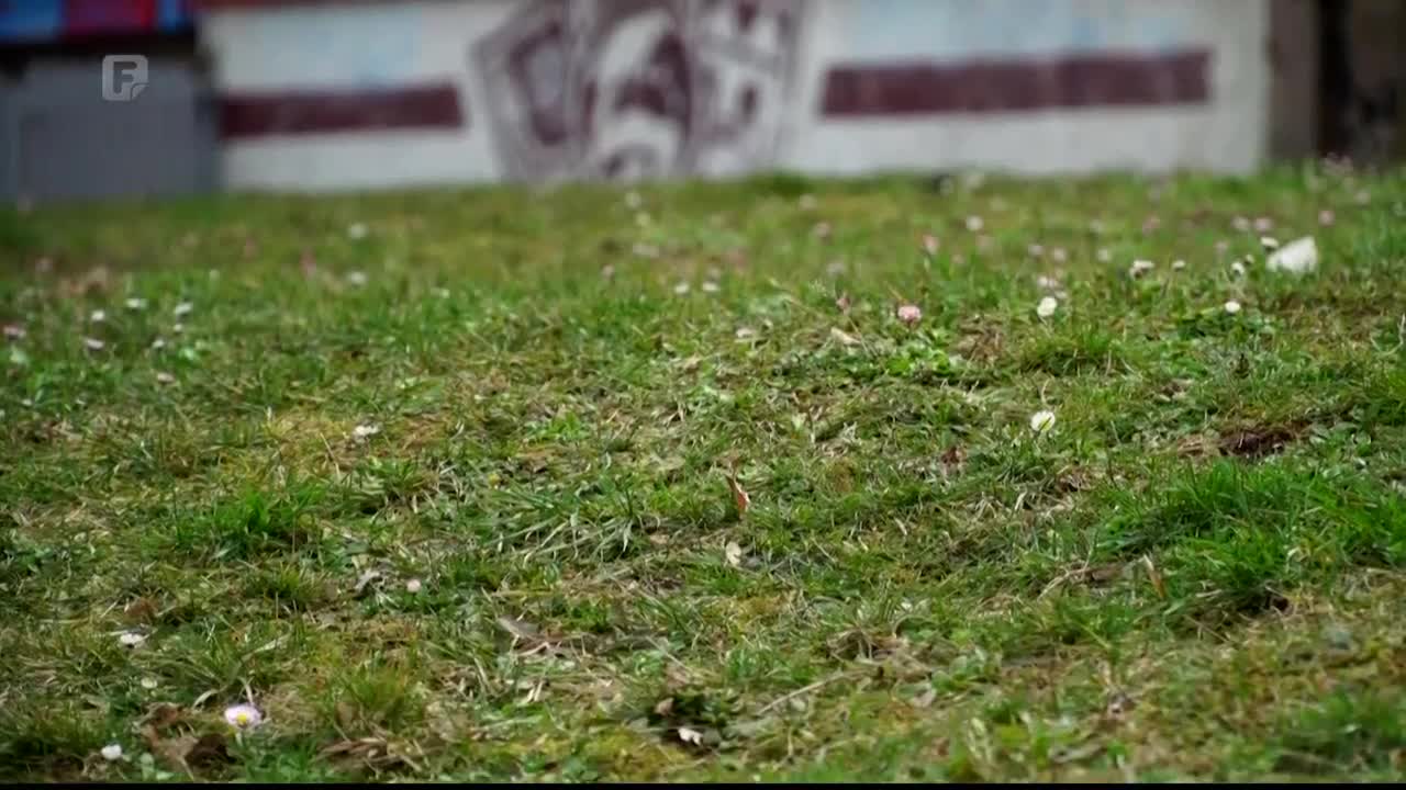 FTV