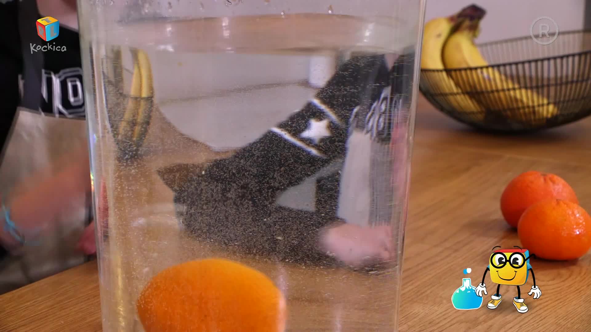 RTLKockica