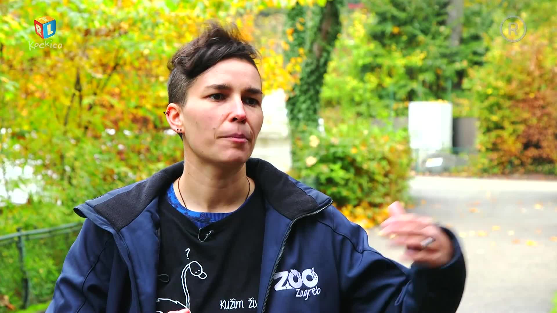 RTLKockica