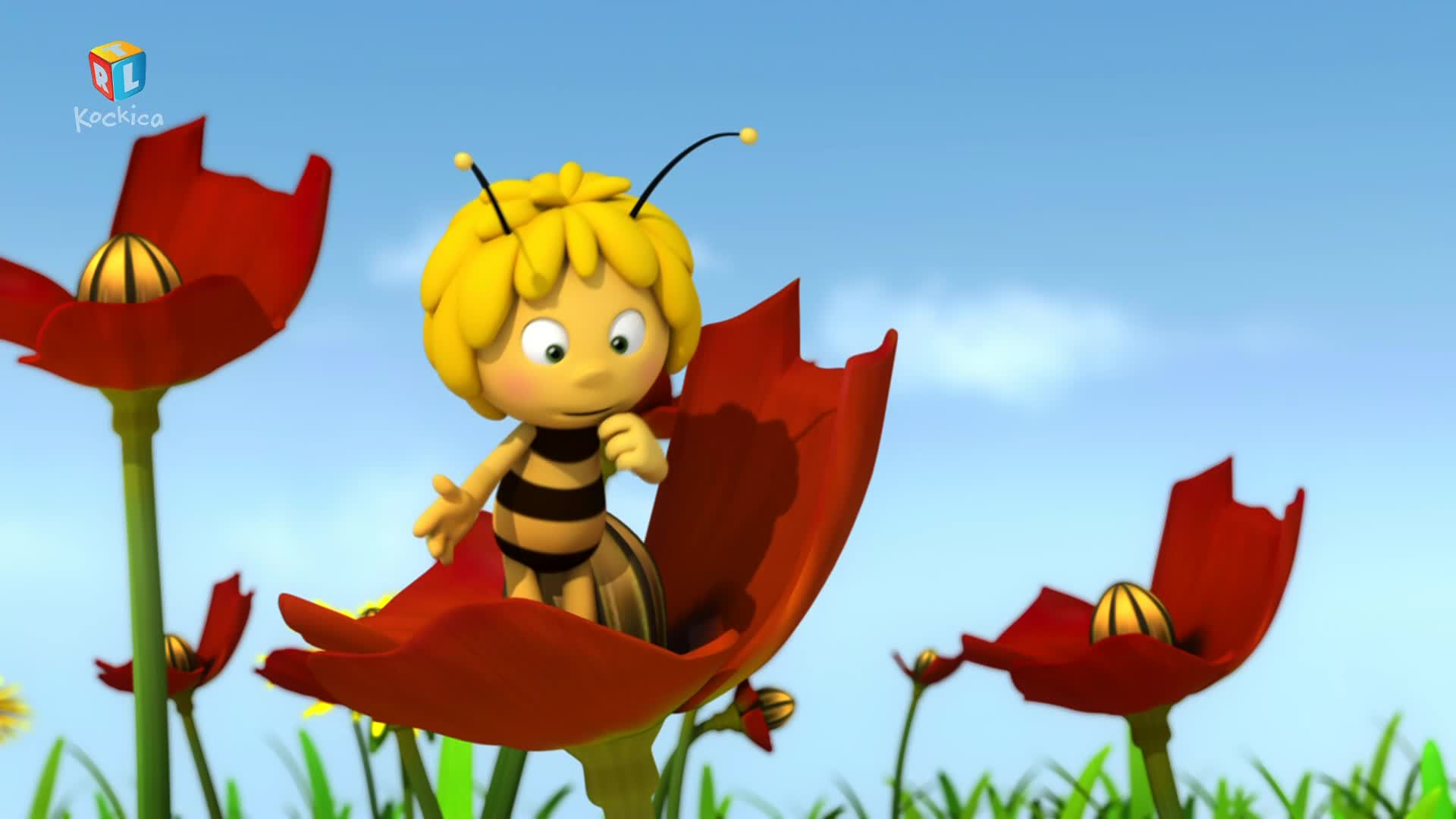 RTLKockica