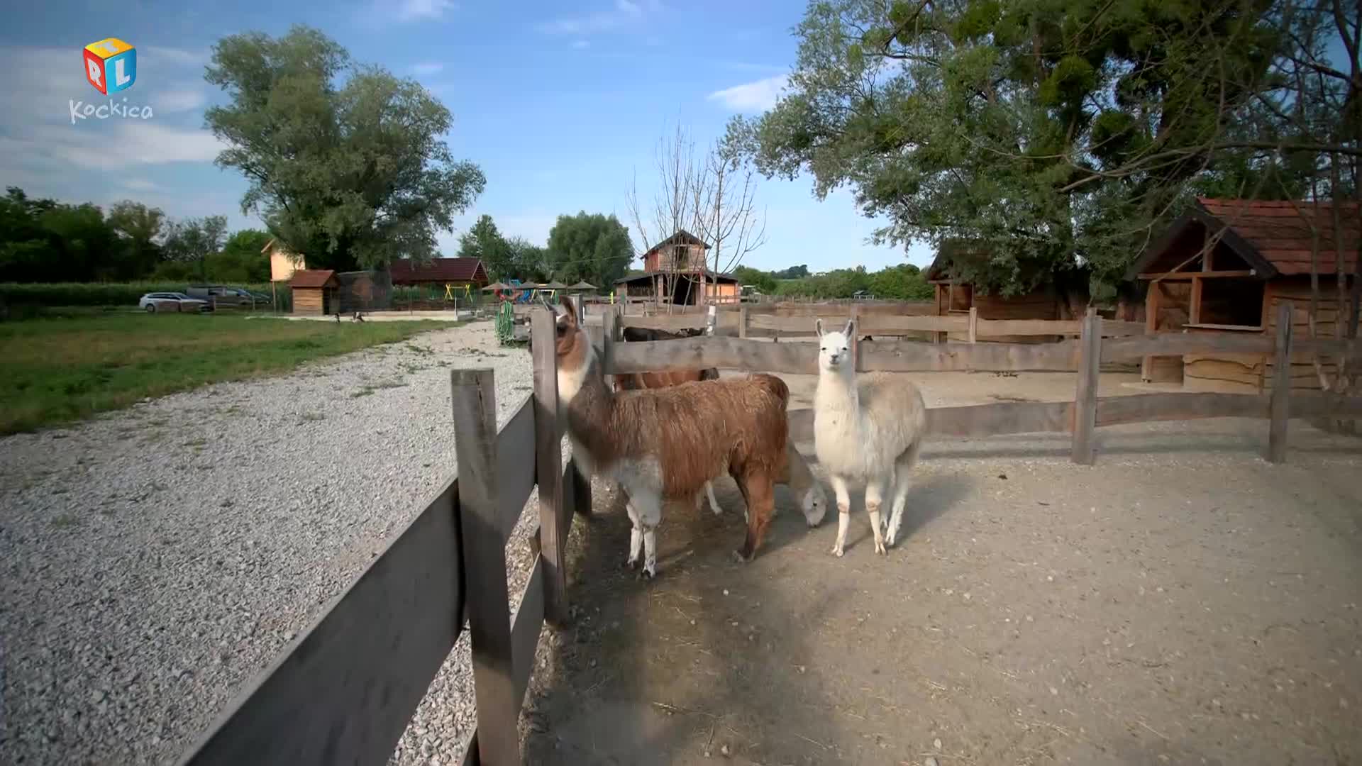 RTLKockica