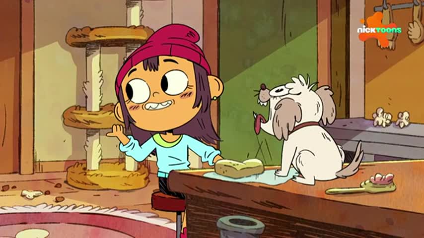 CCExtra