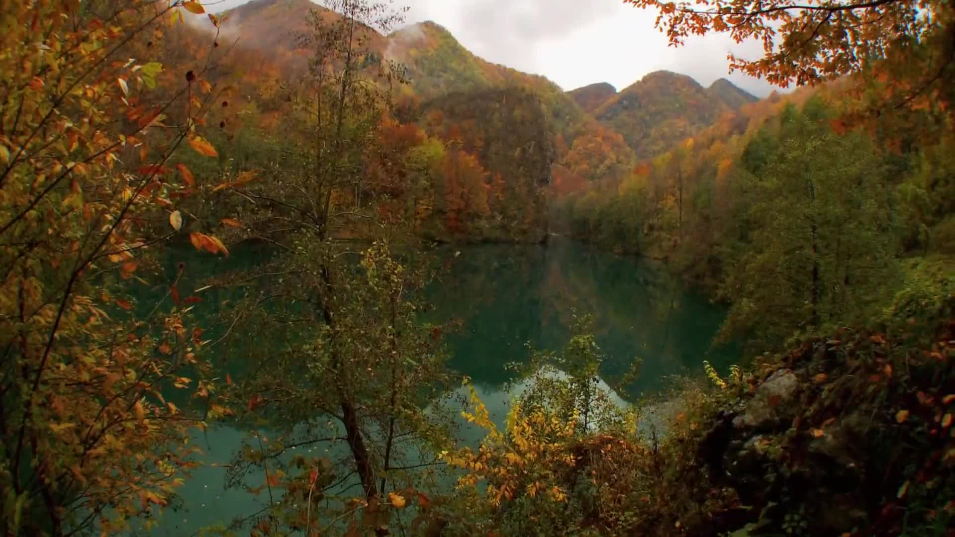 DokuTV
