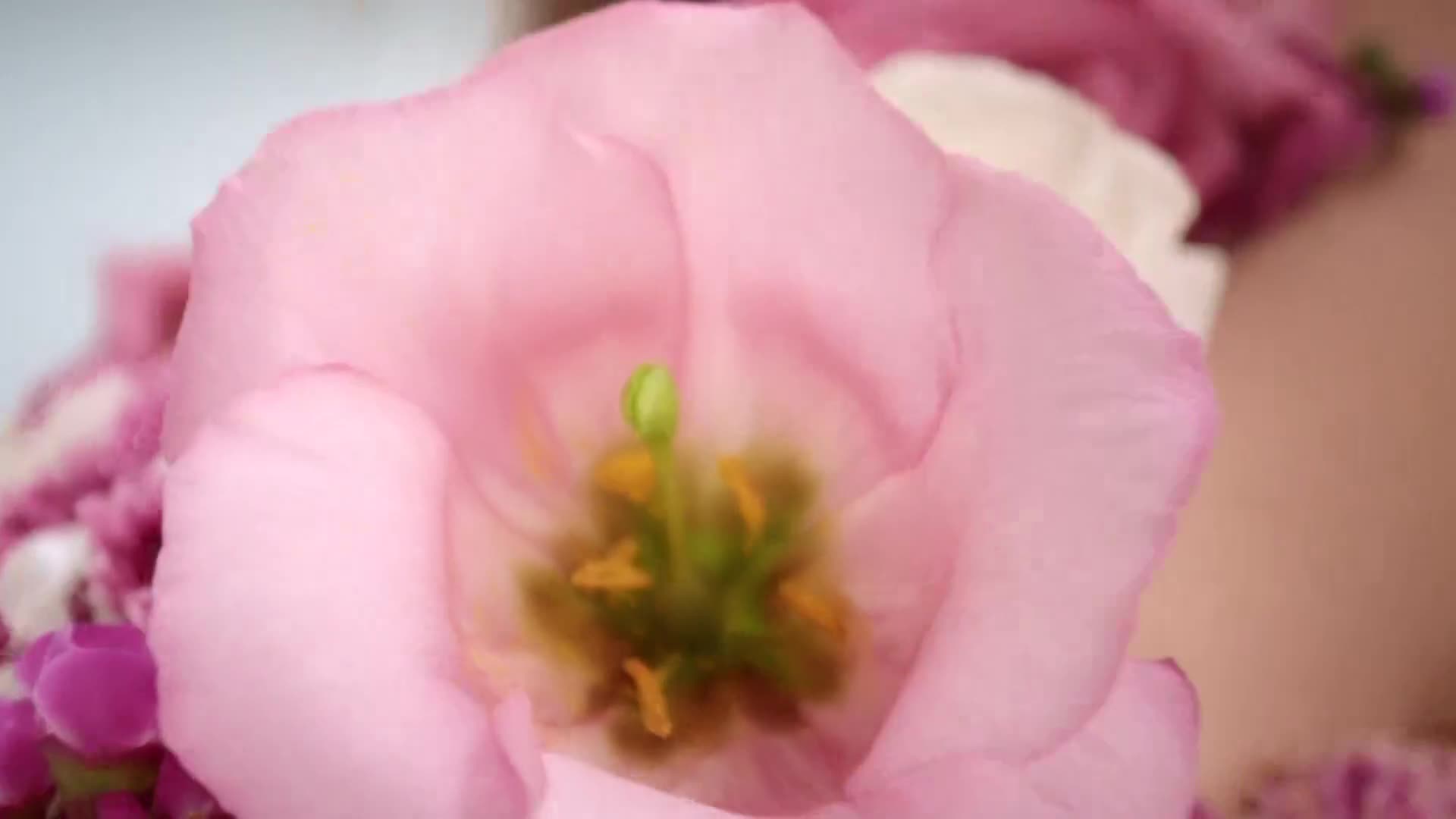 PinkAction