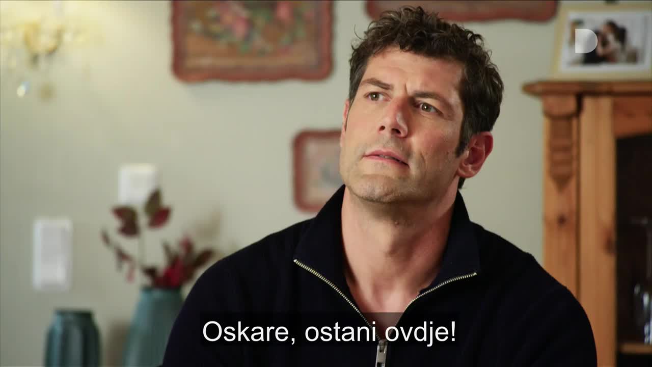 DomaTV