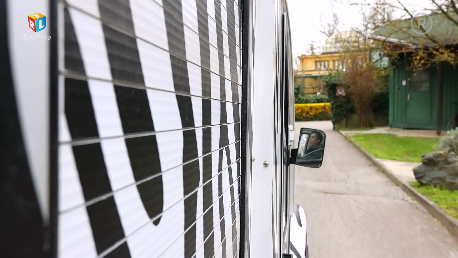 RTLKockica