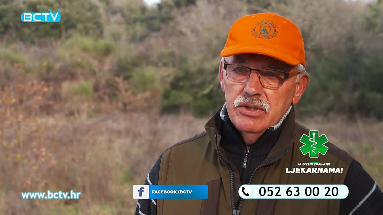 DomaTV
