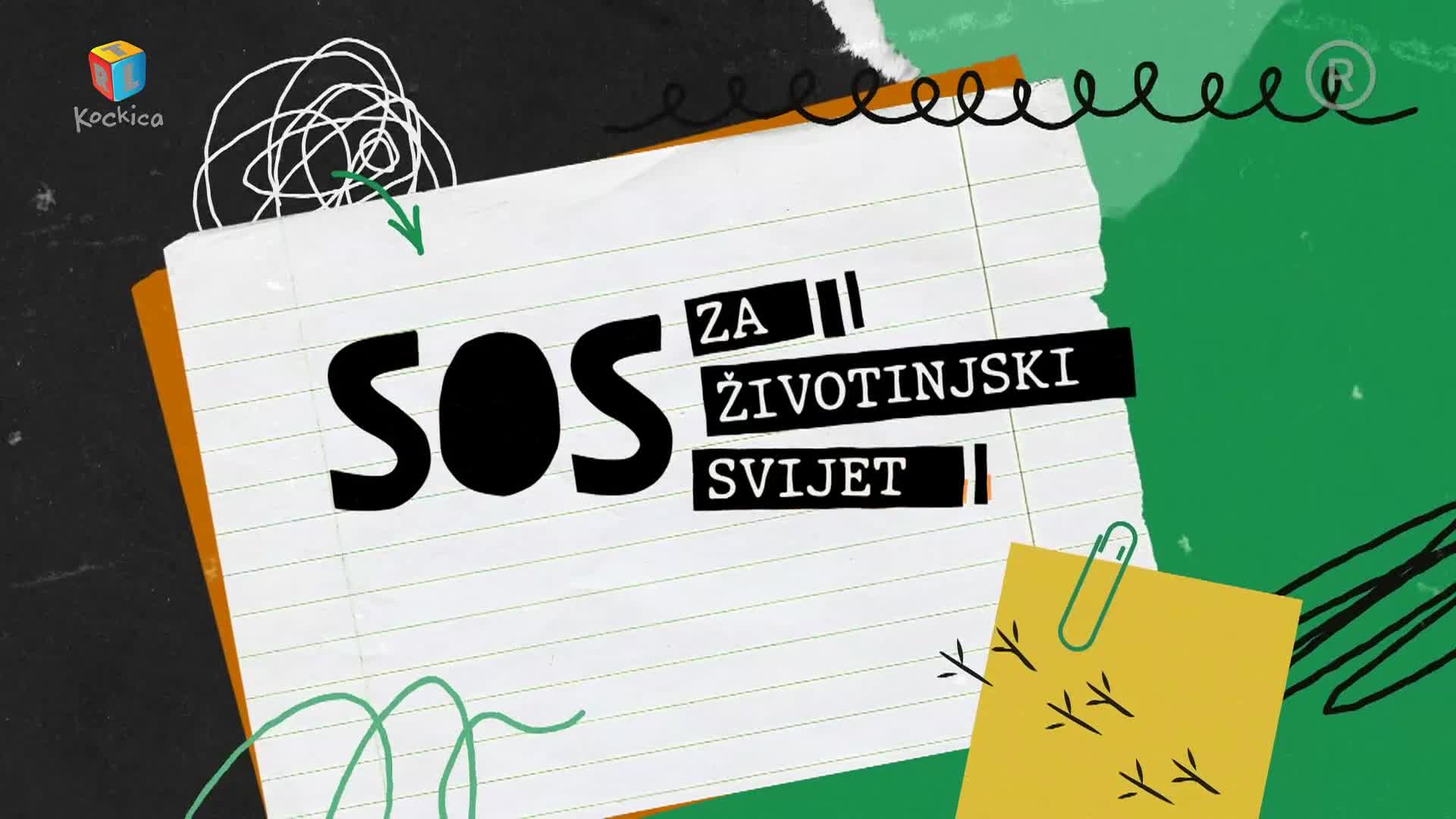 RTLKockica