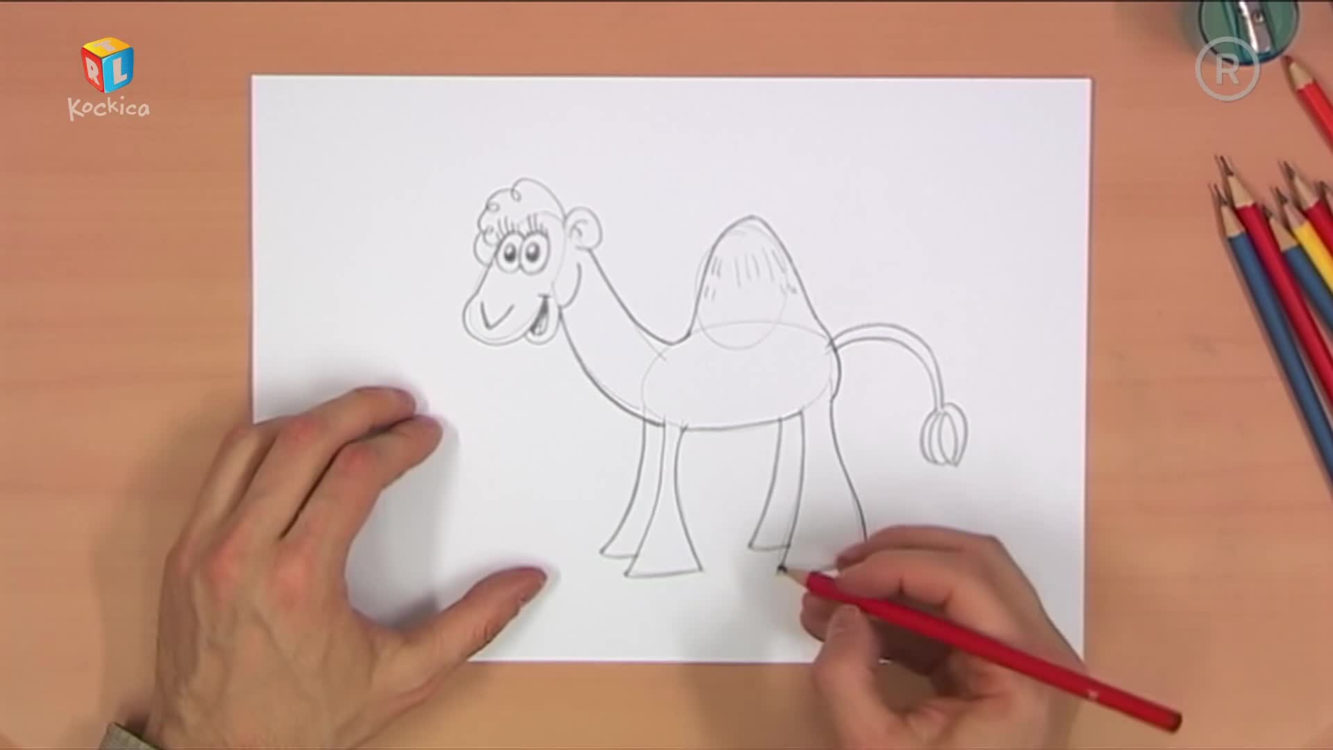RTLKockica