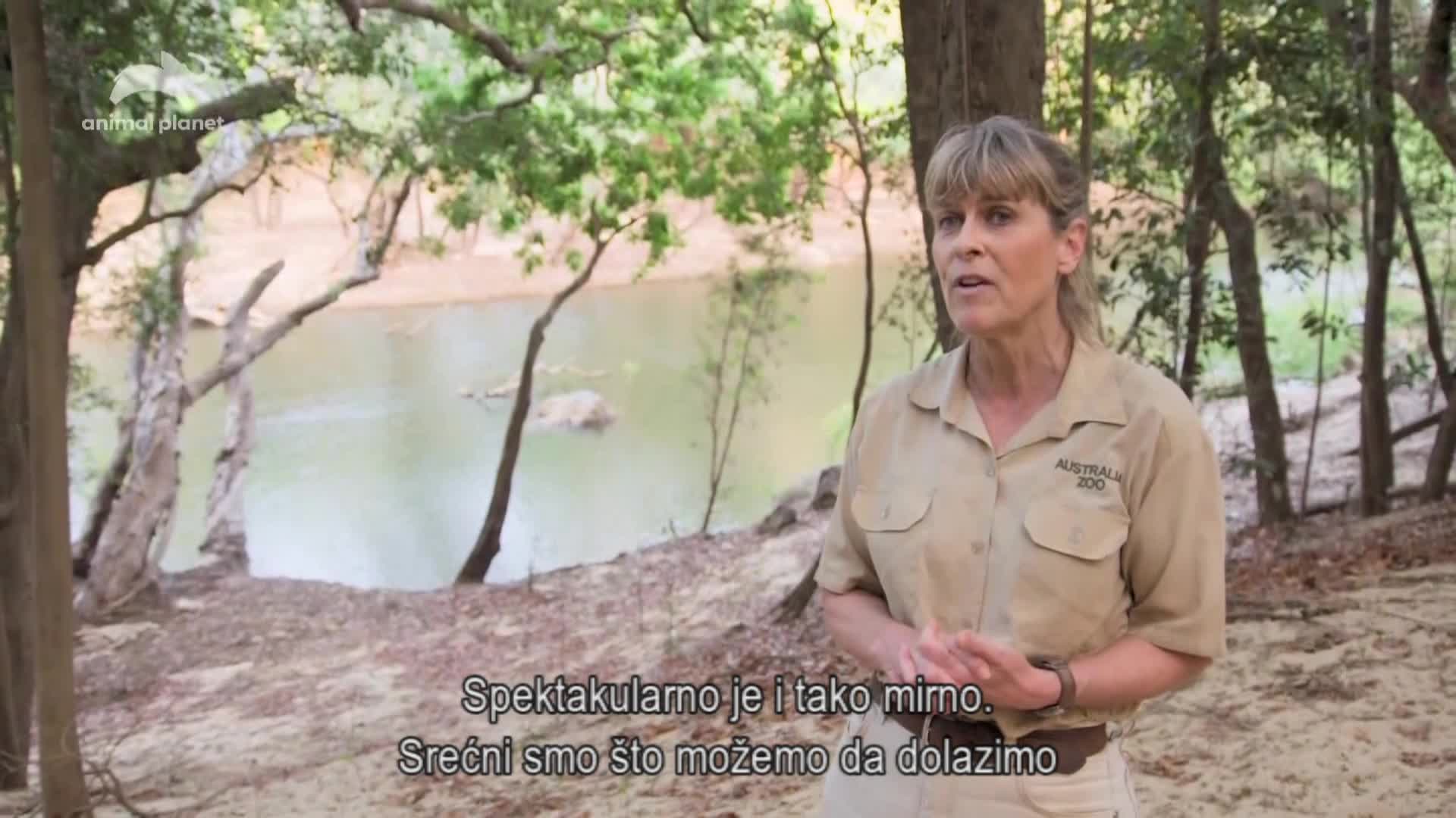 AnimalPlanet