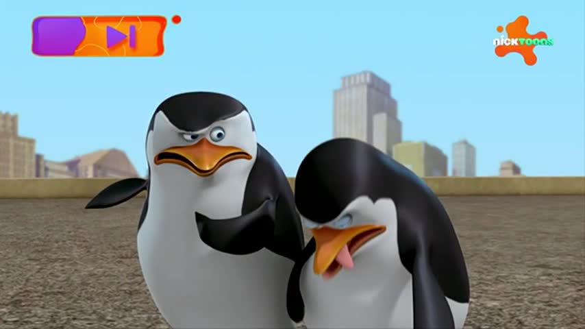 CCExtra