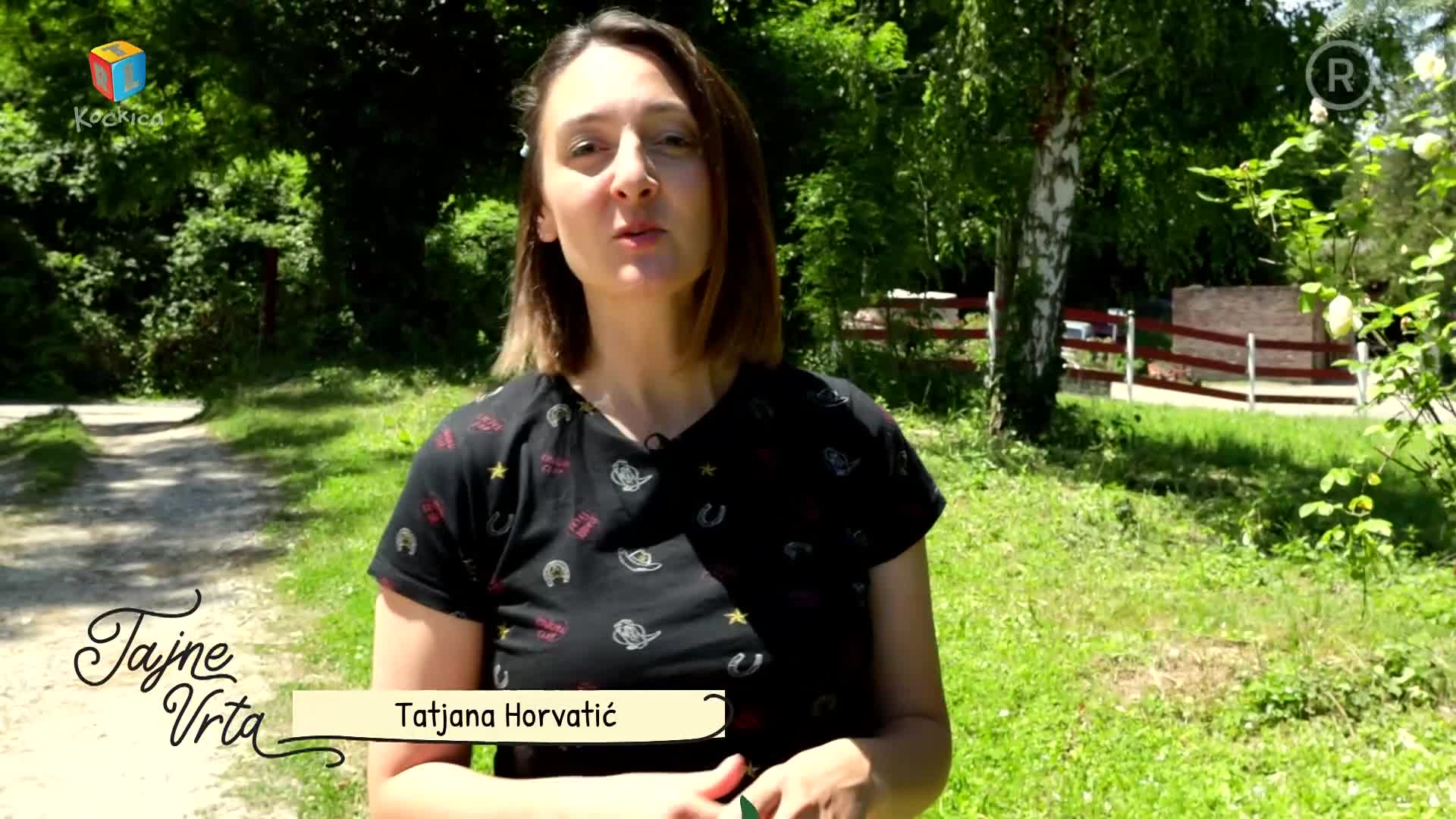RTLKockica