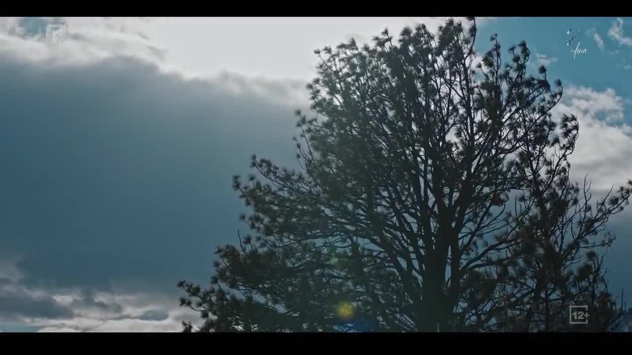 FTV