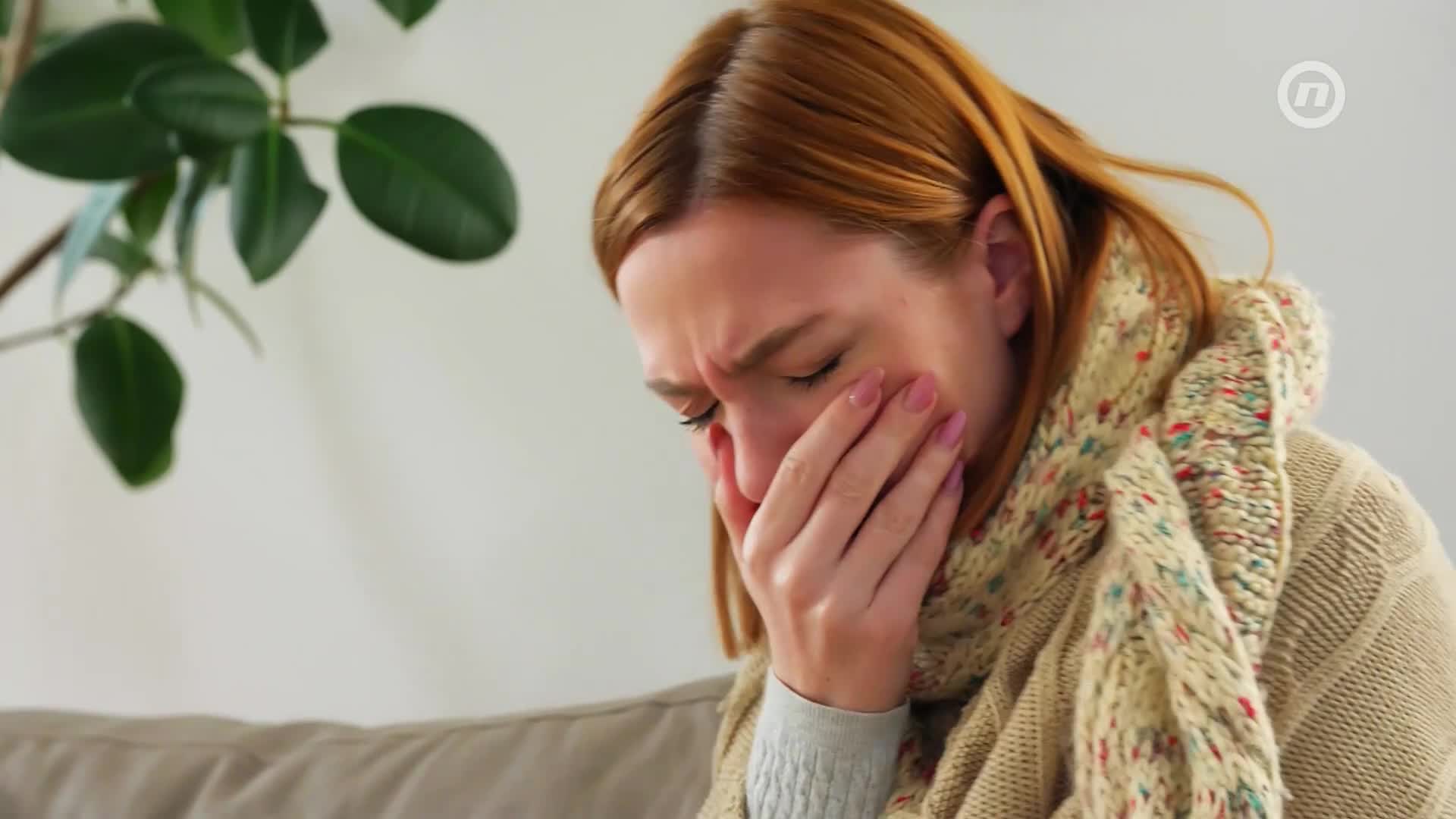 NovaTVPlus